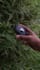 do ugc videos for tech products with quality