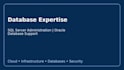 be your windows server administrator