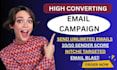 do bulk email marketing campaign for massive outreach