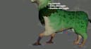 input bones into 3d character,spline ik spine,control rig,blendshape,goofy rig