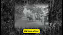edit documentary videos professionally