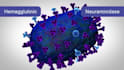 create 3d medical animation moa vaccine scientific molecular explainer video