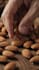 write unique chocolate and dessert recipes