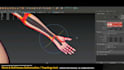 model and rig 3d characters for unity, unreal and games