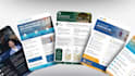 design professional flyer, postcard in 24 hours