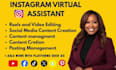 do instagram virtual assistant social media ads ai  video creation editing VA