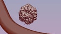 create professional biomedical 3d moa animation
