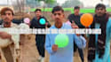 create birthday greetings video