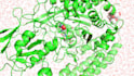 perform a molecular dynamics simulation using gromacs