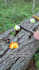 create male outdoors ugc ads