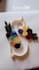 create handcrafted paper quilling art these languages korean, japanese, english
