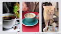 create engaging restaurant promo videos