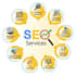 be a wordpress SEO expert USA for higher google rankings