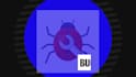 fix bugs and customize your drupal website