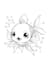 design a custom animals colouring book