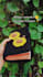 crochet a sunflower a5 book sleeve protector with button closure