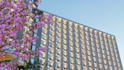design opulent five star hotels and luxury resorts