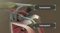 create high quality 3d medical animation, 3d product animation
