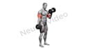 provide 600 HD workout exercise video clips for gym or app