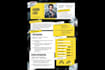professional english resume writing