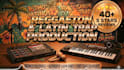 be your reggaeton, dembow and latin trap producer
