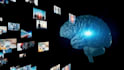 develop an ai mobile app, mobile app development for android and ios