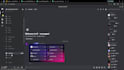 set up a professional discord server for your community