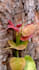 deliver stunning mobile images