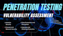 perform penetration testing and vulnerability assessment
