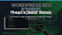 fix wordpress speed and SEO issues to rank higher on google