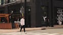 professionally blur or censor faces and objects with motion tracking