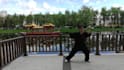 record authentic tai chi demonstration videos for your content