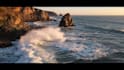 create ai art, video and animations