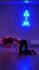 create a professional dance choreography for your project