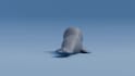 create custom 3d printable models