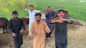 wish happy birthday video
