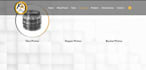 develop mobile responsive wordpress website for business