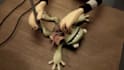 create unique 3d claymation or stop motion for your brand