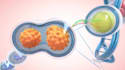 tutor in biology and science