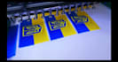 professional machine embroidery digitizing