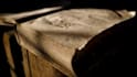 create dynamic book trailer