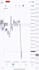 mentor beginners in futures scalping day trading as a coach