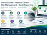 do internal audit risk management specialist