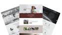 build wix ecommerce and company websites with modern features