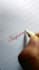 handwrite anything in beautiful cursive handwriting