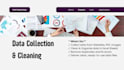 do professional data entry, PDF to excel, HTML and CSS work