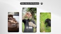 create pet products video ads for ecom brand shopify