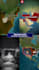 edit highly engaging short form map animations
