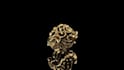 design a professional custom 3d ring for manufacturing