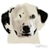 provide digital pet portraits